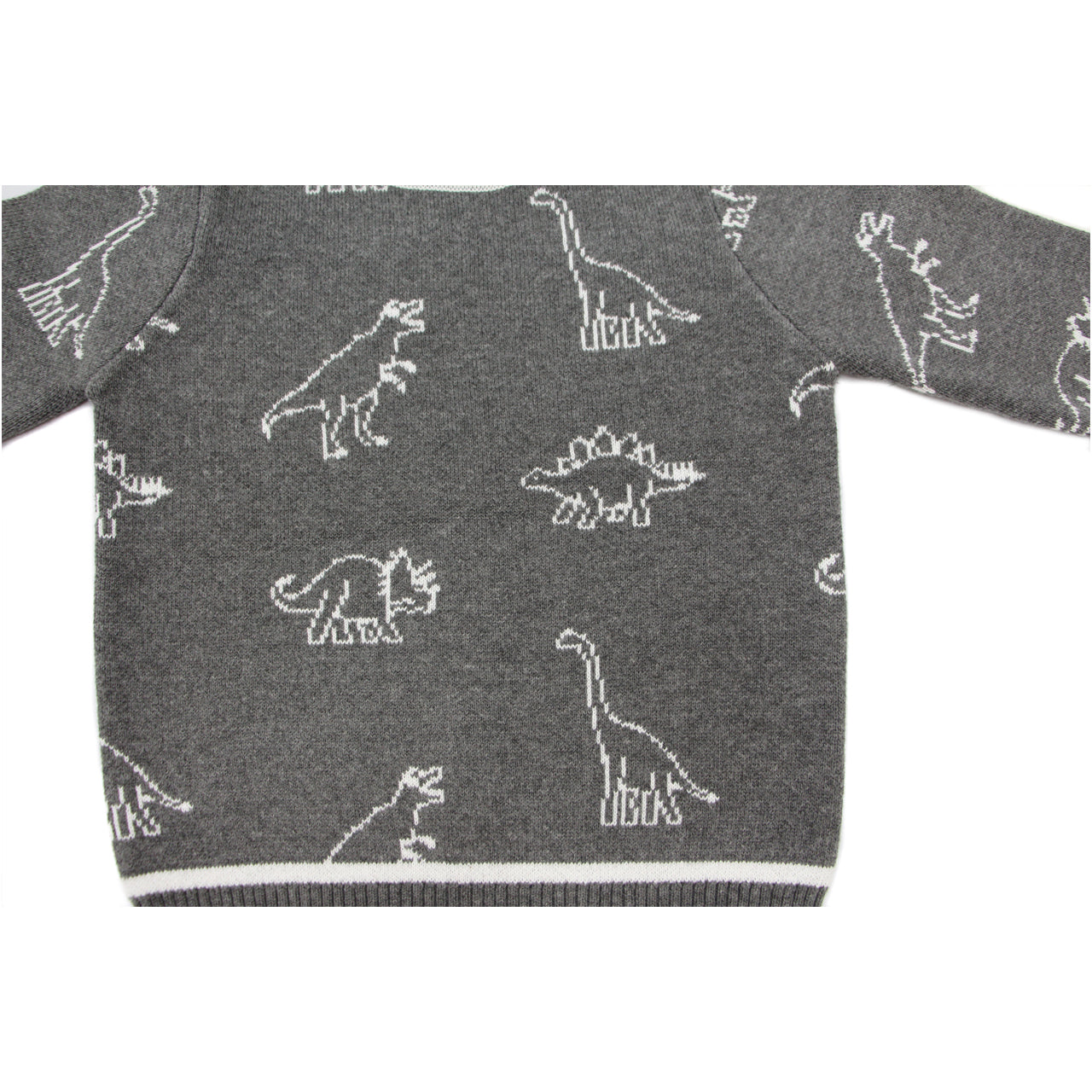 Leon Dinosaur Sweater Baby