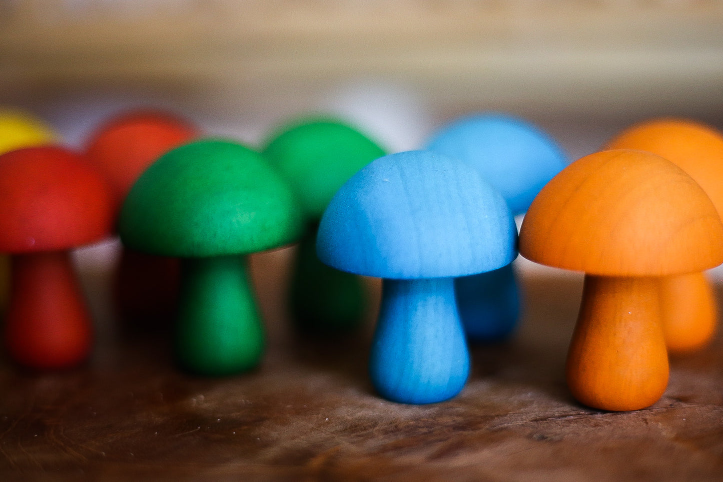 Color mushroom set of 10