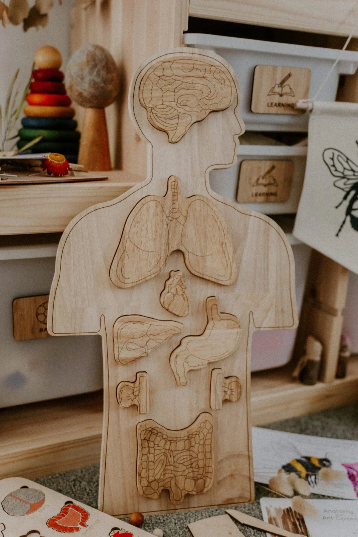 Wooden Anatomy Puzzle