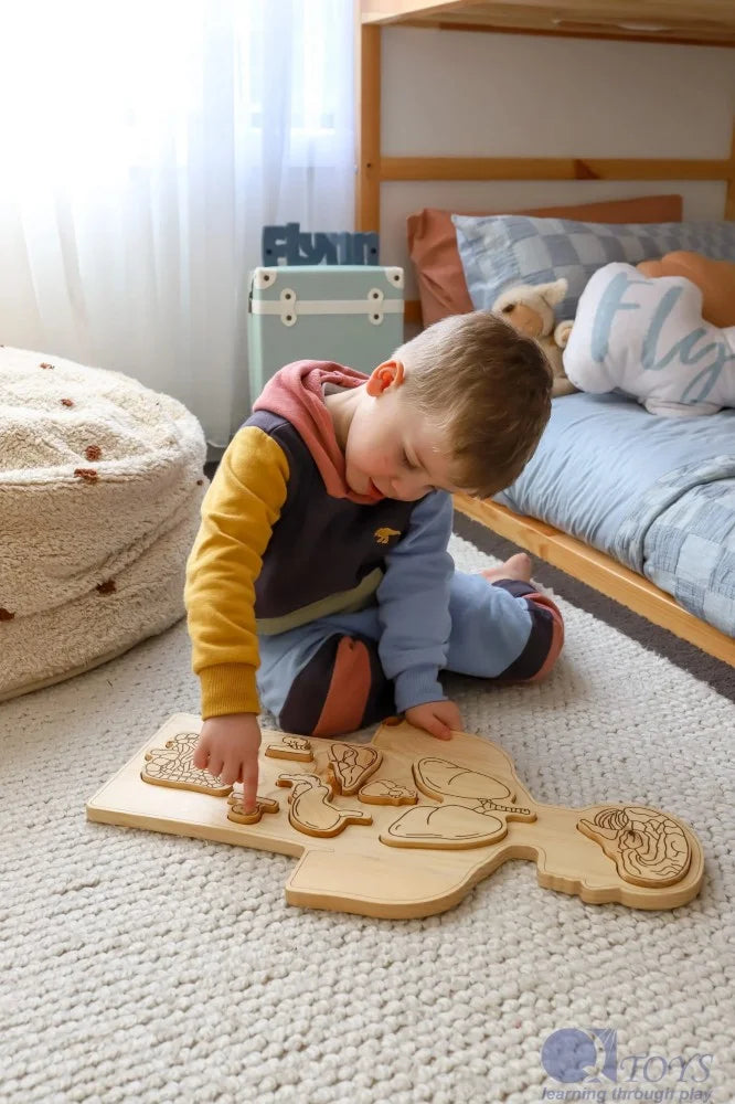 Wooden Anatomy Puzzle