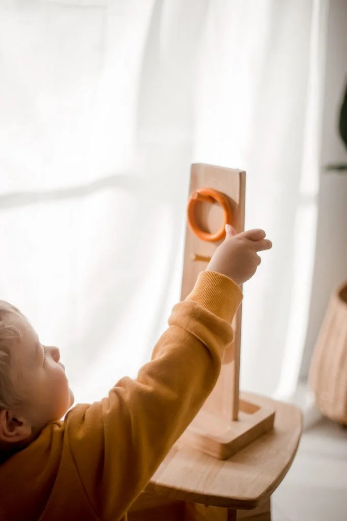 Sorting Ring Toss